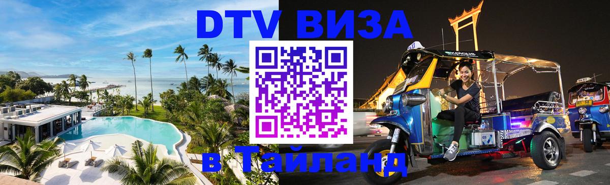 Сколько стоит DTV виза — актуальные цены, оформление даже без документов - Новокузнецк 